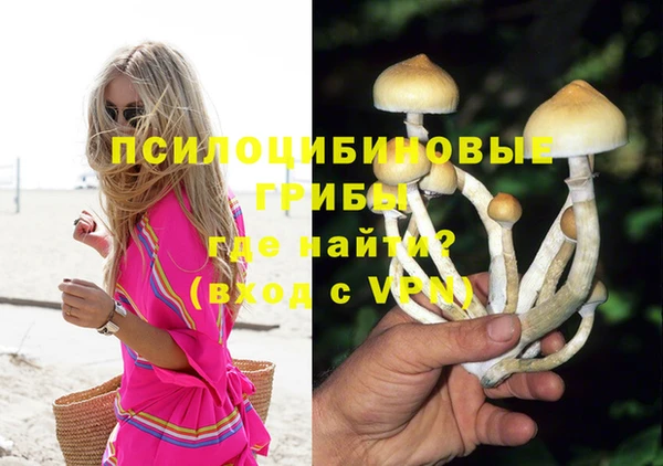 прущие грибы Нея