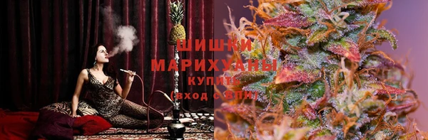 прущие грибы Нея