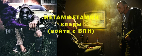 прущие грибы Нея