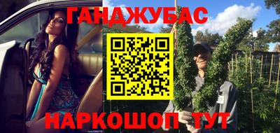 стафф Гай