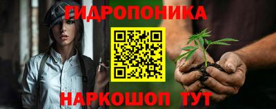 стафф Гай