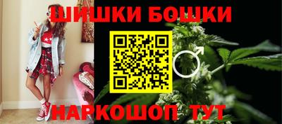 стафф Гай