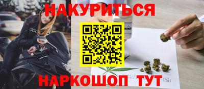стафф Гай