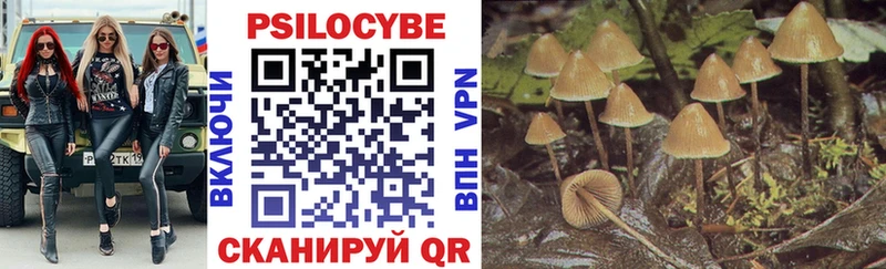 Псилоцибиновые грибы Psilocybine cubensis  Стерлитамак 