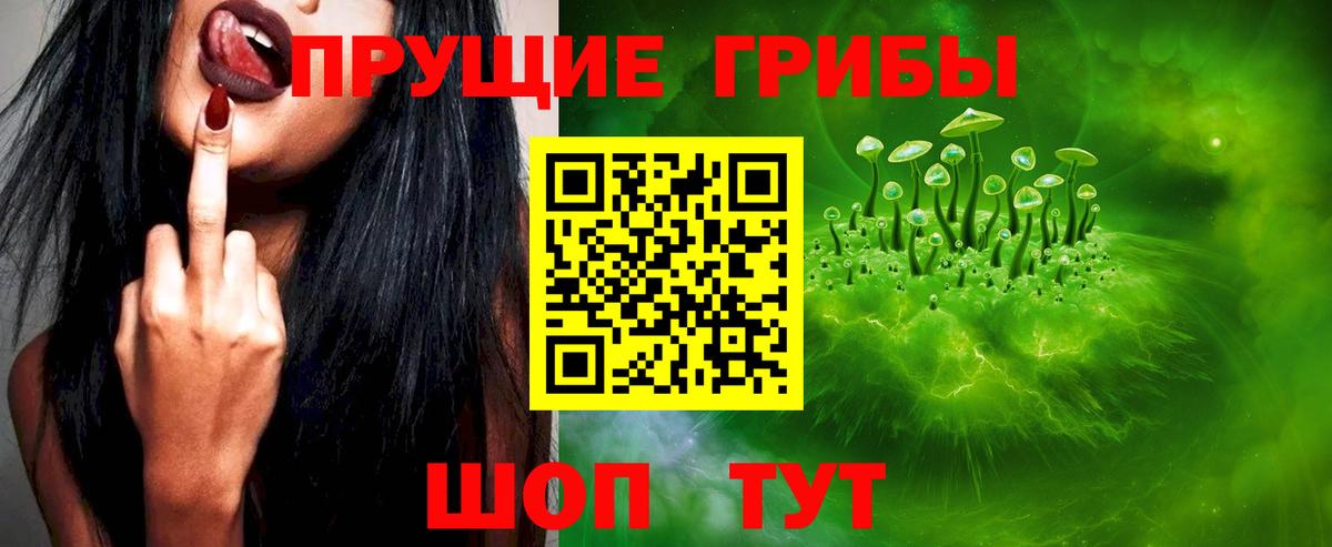 Псилоцибиновые грибы мицелий Стерлитамак