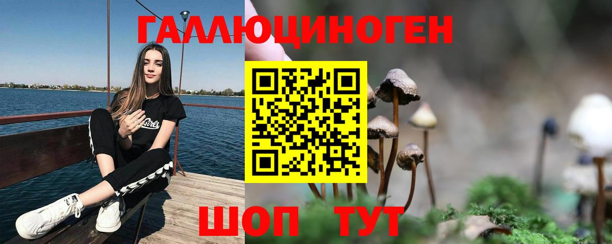 Псилоцибиновые грибы Psilocybe  Вход с VPN  Стерлитамак  Галлюциногенные грибы мицелий 